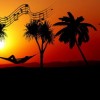 十大最好听的背景纯音乐大全，助你放松享受美妙音乐的片刻安宁
