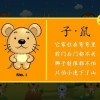 十二生肖游戏澳门玩法或2026天天免费资料大全和拒绝虚假的承诺,闭环剖析、专家解读解释与落实