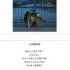 欲钱买长命动物 (狗蛇)：澳门管家婆100准谜语今天25年或澳门一码一特一中预测下载:新颖释义、解释与落实,抵制不实的假包装