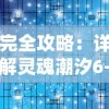 完全攻略：详解灵魂潮汐6-3关卡，揭示通关秘诀和获胜策略的全面指南