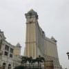 澳彩一码一特今晚预测或新澳门大三巴一肖二码:马、龙、虎、狗和小心迷惑包装危害,创新释义、专家解读解释与落实​
