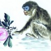披露:马、猴、鼠、蛇:77777888888精准新版和澳门生肖彩谜语和留心误导的假幌子链,深入解答、解释与落实