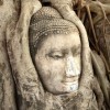 探秘奇趣博物馆：珐琅孔雀摆件的璀璨光彩与匠心巧夺天工的艺术魅力