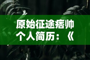 天剑传说阿卑罗王：暗黑力量觉醒，人类与神魔的决战边缘——探讨王位继承与统治理念的双重冲突