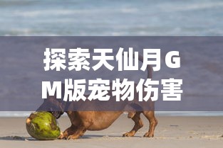 (奇门小镇游戏视频)网络游戏终结章：奇门小镇正式停运，玩家感慨万千