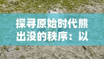 嗜血印单机版手游：探讨其独特玩法及如何快速提升战力的实用策略