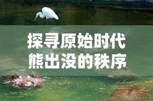 战略高手的荣耀之战：深度剖析决战血流麻将湖北赛事中策略与技能的完美结合