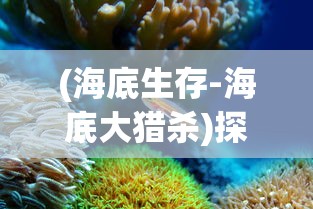 深度剖析：噗噗的冒险乐园游戏攻略全解析，轻松解锁所有关卡的终极秘籍