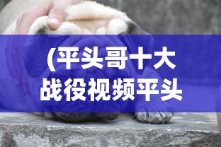 网游之大领主时代：探索游戏中虚拟现实与玩家互动关系的深度研究