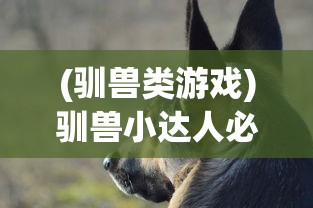 深度解析《权御三国》主城升级所需材料及要求：技巧心得，助力玩家更快速有效提高主城等级