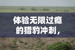 深度解析：龙族卡塞尔之门角色强度排行，揭秴游戏中最强战力角色实力对比