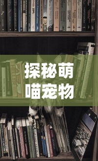 探秘萌喵宠物店电脑游戏：如何抓住玩家心，打造宠物养成的新趋势？