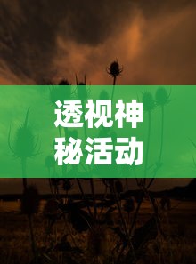 (刀尊境界)20220 "境界刀鸣2026年全线产品完全上市时间表公布