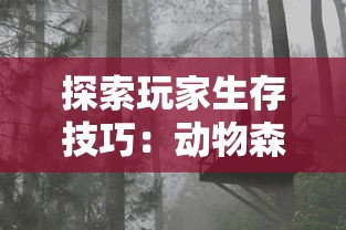 (山东男篮引进的大外援最新消息)山东男篮四外援阵容确定，备战新赛季策略与目标解读