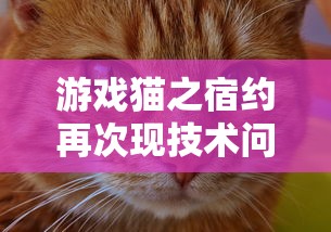 游戏猫之宿约再次现技术问题，玩家疑惑：猫之宿约者停服了吗？