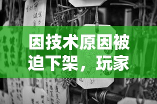 因技术原因被迫下架，玩家怀念的英雄爱三国：停运后市场反应及再度上线的可能性探讨