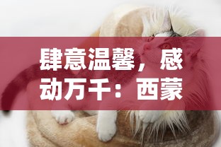 (零之战线官网)探秘零之战线盟约皮肤，进化、狩猎等多种主题造型一览