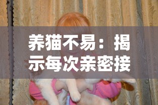 详细解析魔兽争霸3完整版秘籍输入方式及技巧，让你轻松掌握游戏攻略