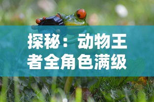 (穿行三国官网)深度解析：穿行三国阵容推荐，实用阵容搭配技巧揭秘