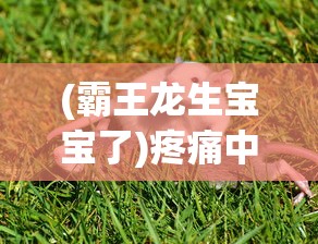 掌握最佳策略：为你详解小小村长中平民角色的最强阵容推荐及其背后的秘密