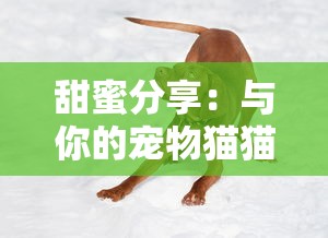 一肖中特期期准资料免费公开了|深入理解各种问题的解决方案_定制版.4.310