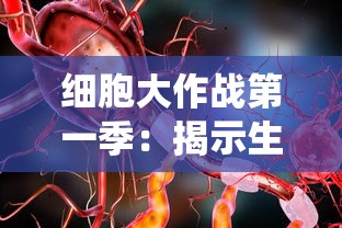 实现梦想，探索未知：亚马逊密林内的得偿所愿寻宝之旅与文化里程碑的探索