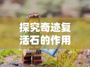 探究奇迹复活石的作用:如何在冒险游戏中有效利用奇迹复活石实现角色重生 探究奇迹复活石的作用:如何在冒险游戏中有效利用奇迹复活石实现角色重生