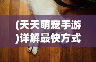 暗影之刃再度出击安卓版，带来全新剧情与角色，让玩家沉浸在未知的冒险之中