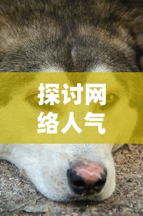 探秘江山三国手游:历史再现,策略对决,英雄豪杰,征战天下,一统乱世! 探秘江山三国手游:历史再现,策略对决,英雄豪杰,征战天下,一统乱世!