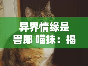 异界情缘是兽郎 喵抹:揭秘猫身战士的爱恨情仇与异界生存艰辛的心路历程 异界情缘是兽郎 喵抹:揭秘猫身战士的爱恨情仇与异界生存艰辛的心路历程