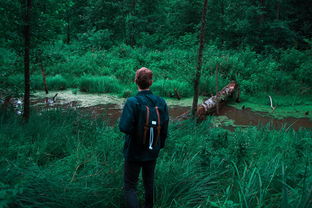 森林王国童话:走进神秘森林,探寻300字精彩童话世界的奇幻冒险故事 森林王国童话:走进神秘森林,探寻300字精彩童话世界的奇幻冒险故事