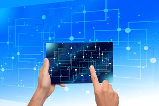 揭秘《神之猎场》中的兽怎么打，细致分析胜利的关键策略和技巧