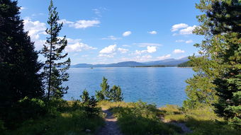 成为丧尸围城攻略高手的必备秘籍：如何在丧尸横行的世界生存？