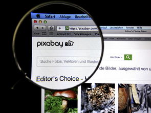 详解如何一步步操作：轻松完成卡拉彼丘战绩查询，快速查看个人游戏成绩