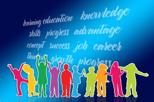 (麦伦公司是做什么的)探索麦伦布车：揭秘美国首都的公共交通系统及其发展历程