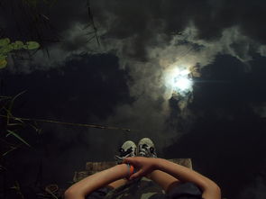 (王语嫣说乔峰武功)乔峰打开王语嫣内心的窗户，探寻胸襟深处的情感迷宫