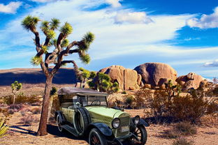 4949正版资料龙门客栈|诠释解析落实_潮流版IP.5.458