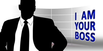 大师决斗正版官网下载：获取最新版本游戏，大师之间的巅峰对决！