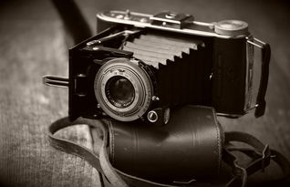 2023澳门今晚开奖结果查询最新消息|现状分析解释落实_适应款.9.524 2023澳门今晚开奖结果查询最新消息|现状分析解释落实_适应款.9.524