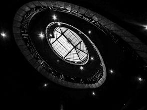 奥彩先知|实地分析解释落实_yShop.5.564