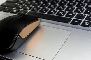 (策魂三国平民攻略)策魂三国平民后期最强阵容：打造最强战队，征战三国大陆