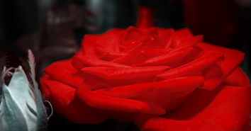 (极限挑战火社)探讨策略与技能的极限挑战：我想体验火力对决的刺激与乐趣