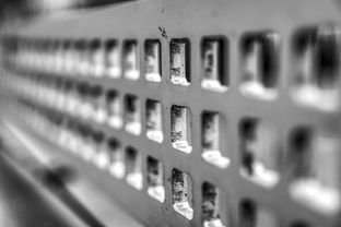 四不像正版资料免费查询|解析机构预测的实施策略_资源集.2.498