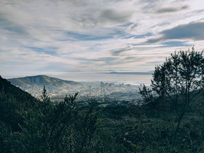 万界掌门折相思内置菜单：探秘神秘的跨界武林之道和隐藏功能