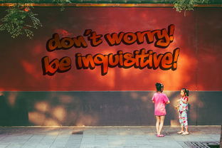 (勇敢无畏的冒险精神用英语怎么说)展示勇敢无畏的精神，飞跃大冒险，追寻自我成长的无限可能！