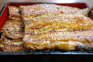 (城防攻略)城防乱斗阵容搭配:打造强力团队应对各种战斗挑战 (城防攻略)城防乱斗阵容搭配:打造强力团队应对各种战斗挑战