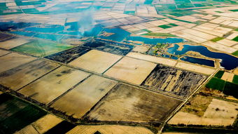 无期迷途wiki游戏攻略网站：打开新世界的大门，探索未知的冒险！