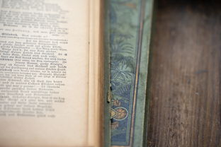 澳门最精准正最精准的资料网站|多元化方案执行策略_精英版0.213