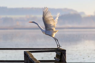 (仙魔记手游)探秘仙魔纪红包版：红包谜团揭秘，神秘力量之源隐藏何处？