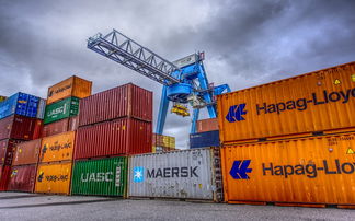 (幻想神姬手游)幻想神姬离线版修改攻略:详细步骤教你轻松提升游戏体验 (幻想神姬手游)幻想神姬离线版修改攻略:详细步骤教你轻松提升游戏体验